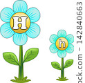 Educational alphabet letter H card set featuring uppercase and lowercase letters on cute blue flowers for kids preschool reading learning design 142840663