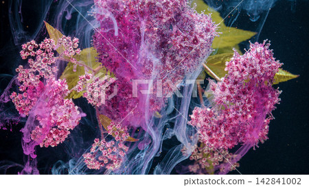 Pink spirea blossoms floating in swirling ink water with dark abstract background Pink spirea blossoms floating in swirling ink water with dark abstract background 142841002