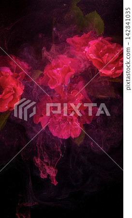 Closeup red roses with swirling colored smoke, glittering sparkles, and dark starry background Closeup red roses with swirling colored smoke, glittering sparkles, and dark starry background 142841035