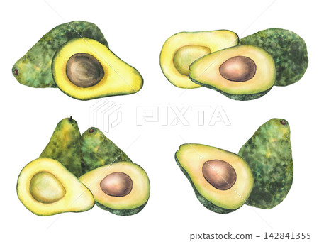 Realistic avocado watercolor hand painted set. Whole and cut green fruit half with seed. Botanical illustration isolated on white background for healthy food packaging, menu, exotic vegetables product Realistic avocado watercolor hand painted set. Whole and cut green fruit half with seed. Botanical illustration isolated on white background for healthy food packaging, menu, exotic vegetables product 142841355