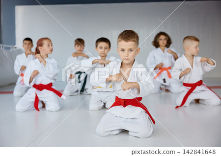 Young students in coordinated martial arts rehearsal Young students in coordinated martial arts rehearsal 142841648