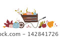Autumn Harvest Wheelbarrow with Pumpkins 142841726