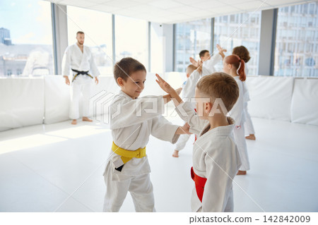 Young participants of martial art practicing teamwork and technique during training class Young participants of martial art practicing teamwork and technique during training class 142842009
