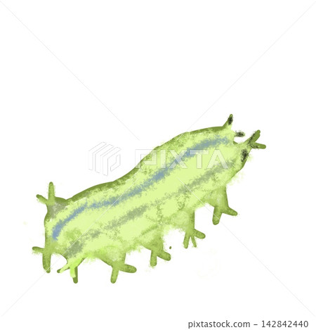 Illustration of a slug caterpillar larva, a pest with poisonous hairs. Illustration of a slug caterpillar larva, a pest with poisonous hairs. 142842440
