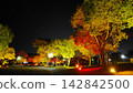 夜間照明場景 142842500