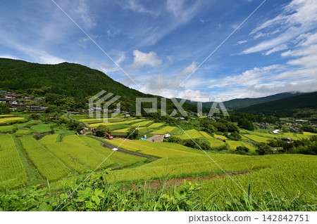 坡米梯田 坡米梯田 142842751