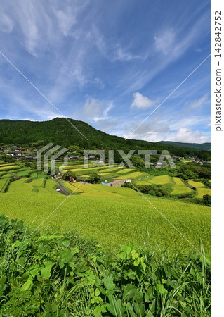 坡米梯田 坡米梯田 142842752