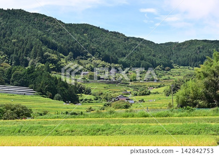 坡米梯田 坡米梯田 142842753