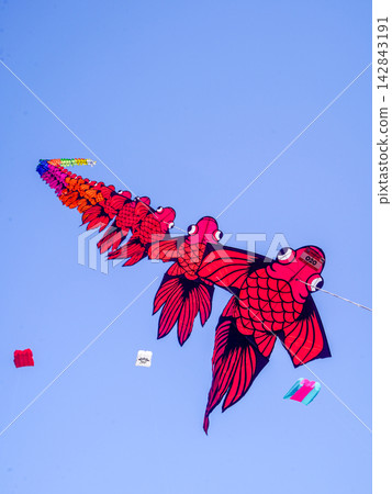 Annual Surabaya kite festival featuring giant colorful kites flying over open field under clear blue sky. Annual Surabaya kite festival featuring giant colorful kites flying over open field under clear blue sky. 142843191