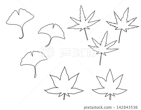 A set of simple line art illustrations of ginkgo and maple leaves. A set of simple line art illustrations of ginkgo and maple leaves. 142843536
