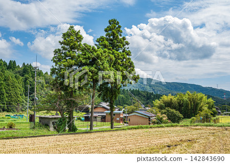 Rice fields after harvest, Kutsukake, Nishi-Asai-cho, Nagahama City, Shiga Prefecture 142843690