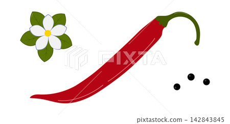 Clipart set with red chili pepper, white flower, green leaves and dots, hand-drawn culinary elements. Isolated vector illustration for hot sauce label, spice packaging, recipe cards and menu templates Clipart set with red chili pepper, white flower, green leaves and dots, hand-drawn culinary elements. Isolated vector illustration for hot sauce label, spice packaging, recipe cards and menu templates 142843845