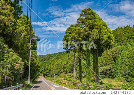 Mountainous forest scenery of Oku-Biwako, Nishi-Asai-cho, Nagahama City, Shiga Prefecture Mountainous forest scenery of Oku-Biwako, Nishi-Asai-cho, Nagahama City, Shiga Prefecture 142844183