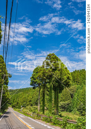 Mountainous forest scenery of Oku-Biwako, Nishi-Asai-cho, Nagahama City, Shiga Prefecture Mountainous forest scenery of Oku-Biwako, Nishi-Asai-cho, Nagahama City, Shiga Prefecture 142844184