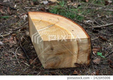 freshly cut logs freshly cut logs 142845006