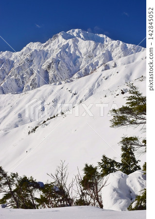 View of Mt. Hakuba Goryu from Happo-one Ridge, Hakuba. View of Mt. Hakuba Goryu from Happo-one Ridge, Hakuba. 142845052