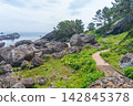 "Aomori Prefecture" Tanesashi Coast - The scenery of Yodo no Matsubara, where pine trees over 80 years old spread out. Hachinohe City 142845378