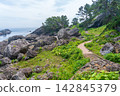 "Aomori Prefecture" Tanesashi Coast - The scenery of Yodo no Matsubara, where pine trees over 80 years old spread out. Hachinohe City 142845379