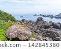 "Aomori Prefecture" Tanesashi Coast - The scenery of Yodo no Matsubara, where pine trees over 80 years old spread out. Hachinohe City 142845380