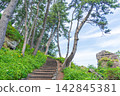 "Aomori Prefecture" Tanesashi Coast - The scenery of Yodo no Matsubara, where pine trees over 80 years old spread out. Hachinohe City 142845381