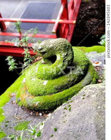 熱海木之宮神社木之宮弁財天的石蛇雕像。 熱海木之宮神社木之宮弁財天的石蛇雕像。 142845883