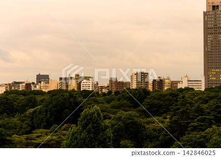 A landscape of city skyscrapers and lush green parks. A landscape of city skyscrapers and lush green parks. 142846025