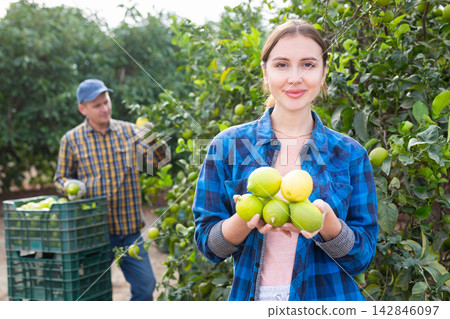 Joyful successful young female holding lemons in hands in garden Joyful successful young female holding lemons in hands in garden 142846097