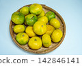 Autumn delicacies: Early-ripening mandarins served in a basket 142846141