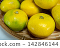 Autumn delicacies: Early-ripening mandarins served in a basket 142846144