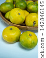 Autumn delicacies: Early-ripening mandarins served in a basket 142846145