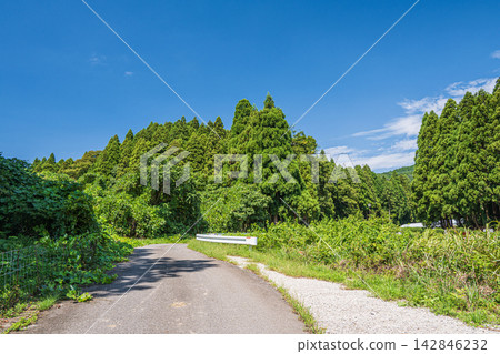 滋賀郡長濱市西淺井町奧琵琶湖的山林風景 滋賀郡長濱市西淺井町奧琵琶湖的山林風景 142846232
