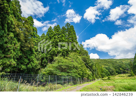 Terraced rice fields in the mountains of Oku-Biwako, Nishi-Asai-cho, Nagahama City, Shiga Prefecture Terraced rice fields in the mountains of Oku-Biwako, Nishi-Asai-cho, Nagahama City, Shiga Prefecture 142846239