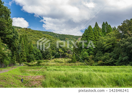Terraced rice fields in the mountains of Oku-Biwako, Nishi-Asai-cho, Nagahama City, Shiga Prefecture 142846241
