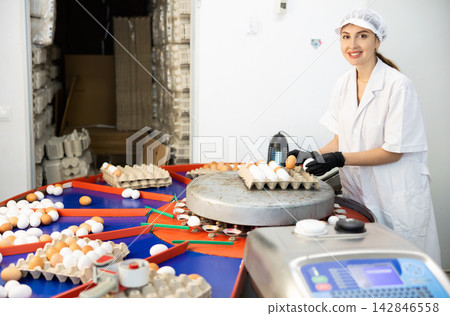 Adult experienced european woman sorting eggs in chicken farm Adult experienced european woman sorting eggs in chicken farm 142846558
