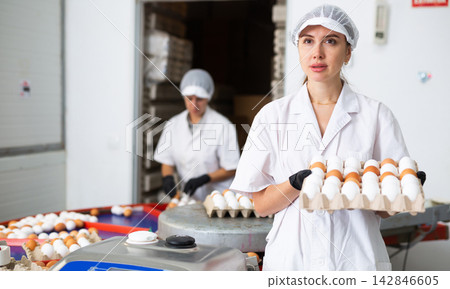 Female employee of poultry farm stacking carton trays with chicken eggs 142846605