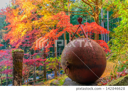 秋日景色,一枚魚雷在秩父禦岳神社內的東鄉公園裡,以色彩繽紛的秋葉為背景展示。 秋日景色,一枚魚雷在秩父禦岳神社內的東鄉公園裡,以色彩繽紛的秋葉為背景展示。 142846628