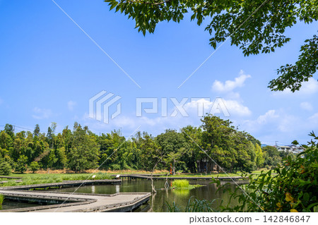 嚴島濕地公園:一個有池塘的公園(神奈川縣中居町) 嚴島濕地公園:一個有池塘的公園(神奈川縣中居町) 142846847