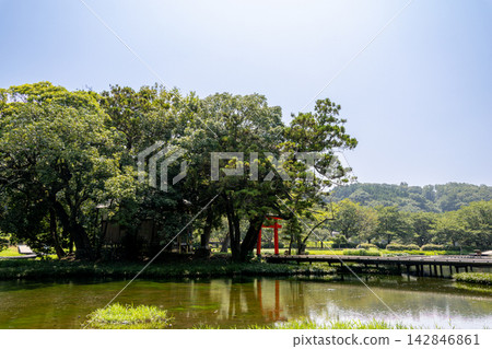 嚴島濕地公園:鳥居景觀(神奈川縣中居町) 嚴島濕地公園:鳥居景觀(神奈川縣中居町) 142846861