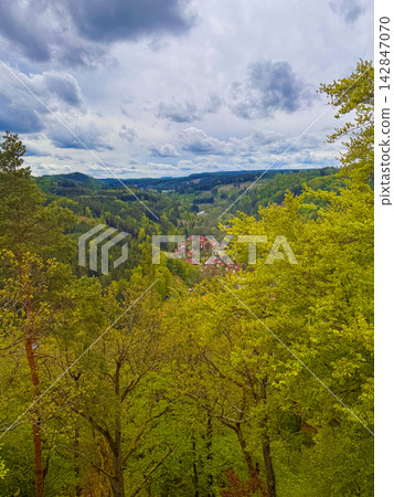 View of Karlovy Vary neighborhood surrounded by green trees in Czechia View of Karlovy Vary neighborhood surrounded by green trees in Czechia 142847070