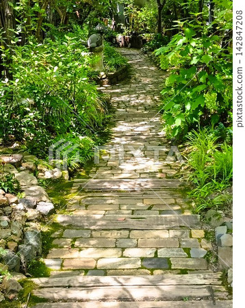 花園四周綠樹環繞；從窗戶望出去可以看到花園的景色。 142847208