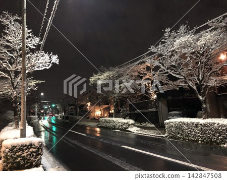 A snow-covered winter night road and street trees A snow-covered winter night road and street trees 142847508