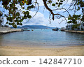 A beautiful view of the tropical sea and harbor seen through the branches of trees. 142847710