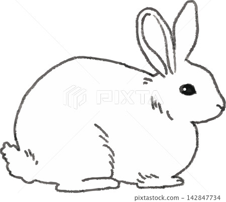 Rabbit line art illustration, hand-drawn style, stylized (small animal, pet, monochrome) Rabbit line art illustration, hand-drawn style, stylized (small animal, pet, monochrome) 142847734