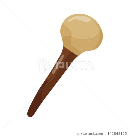 Illustration of Traditional Instrument Illustration of Traditional Instrument 142848125
