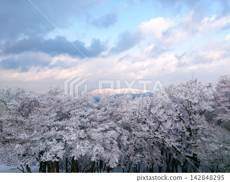 透過覆蓋著霜雪的樹木,可以看到遠處的山峰。 透過覆蓋著霜雪的樹木,可以看到遠處的山峰。 142848295