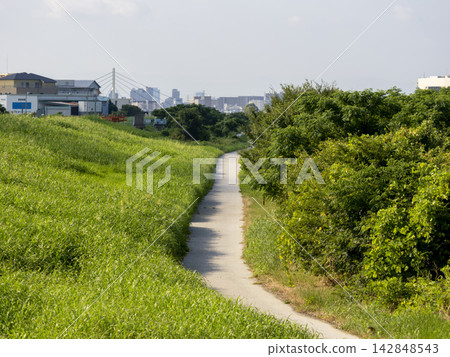 沿著稻川河的步行道 沿著稻川河的步行道 142848543