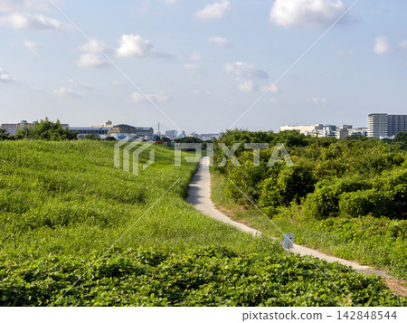 Walking path along the Inagawa River Walking path along the Inagawa River 142848544