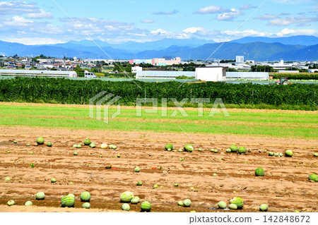 從長野縣山形村的山藥田望向 I-City 21（長野縣山形村）[2026.9] 142848672