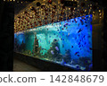 The underwater scenery of a giant aquarium adorned with dazzling illumination lights. 142848679