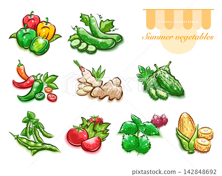 A set of illustrations of various summer vegetables | Cute pop art vector materials A set of illustrations of various summer vegetables | Cute pop art vector materials 142848692